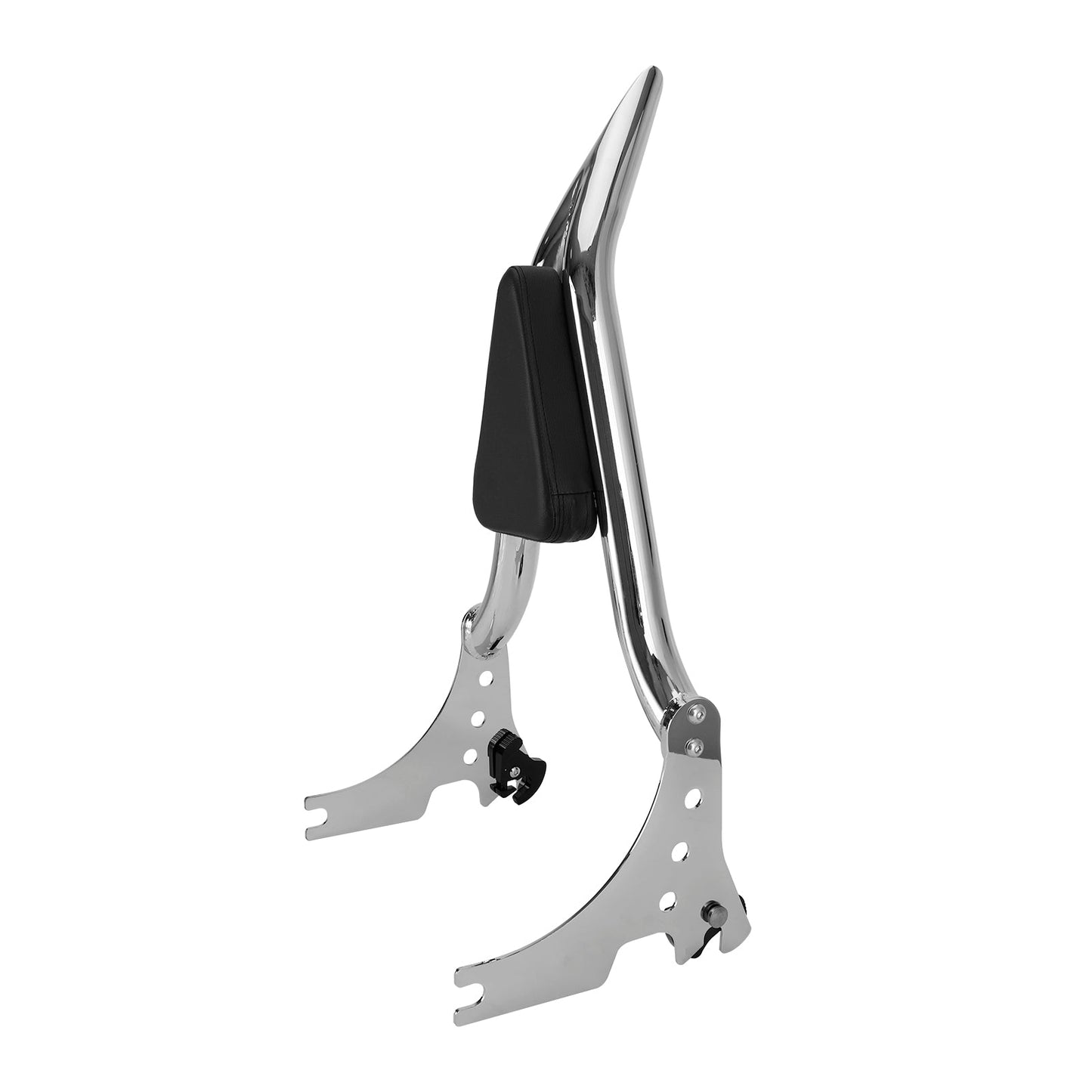2004-2020 Sportster XL883 C/R XL1200R XLH883 XLH1200 Schienale passeggero