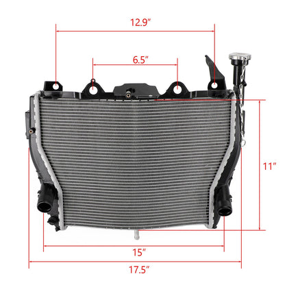 Raffreddamento del radiatore del radiatore del motore BMW S1000RR 2009-2019