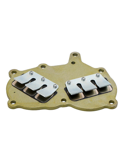 362-02100-1 valvola lamellare Assy per Tohatsu fuoribordo NS9.9 NS15 NS18 M9.9 M15 M18