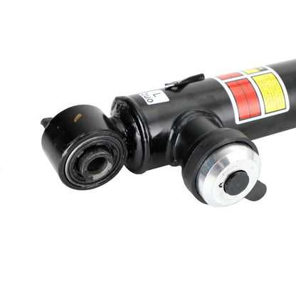 Opel Insignia A 2008-2017 436853 436854 coppia puntoni ammortizzatori posteriori Fedex Express