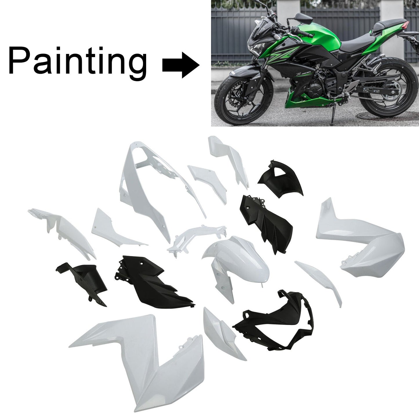 Kit carenatura Kawasaki Z250 Z300 2015-2016