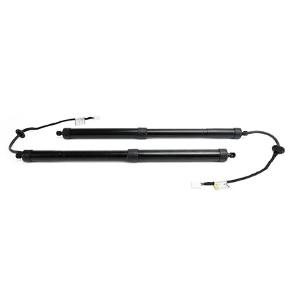 Per Toyota RAV4 2019-2022 supporto per sollevamento portellone posteriore posteriore 2 pezzi 6891042060